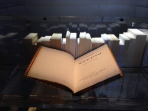 Exposition Chanel, Venise