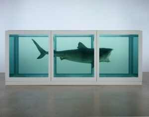 Damien Hirst, The Physical Impossibility of Death in the Mind of Someone Living, 1991 Hirst.The Physical Impossibility of Death in the Mind of Someone Living