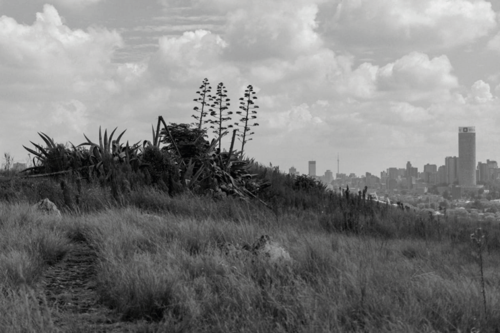 Sibusiso Molwantwa Tse Di Sa Kopaneng Ke Dithaba, 2026 42 x 60 cm Photo Luster, archival photographic paper 250 gsm Black wood frame with normal glass DR