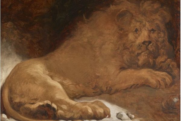 Jean-Honoré Fragonard, Un lion, huile sur toile, 83 x 105 cm, galerie Eric Coatalem