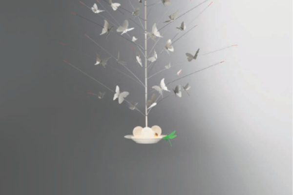 La Festa della Farfalle, 2019