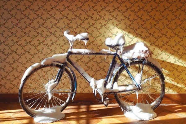 Vélo soviétique, Nature morte, 2016