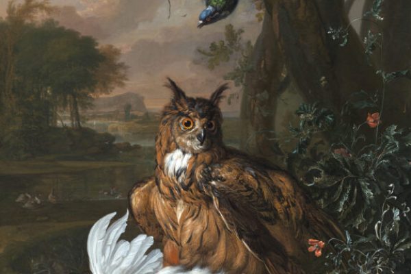 DIRK VALKENBURG
Amsterdam 1675-1721
A Eurasian eagle-owl with a dead chicken in a landscape, A pigeon hovers above
Oil on canvas
127 x 101 cm